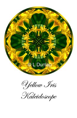 28 - Yellow Iris Kaleidoscope Card