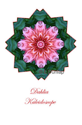 30 - Dahlia Kaleidoscope Card