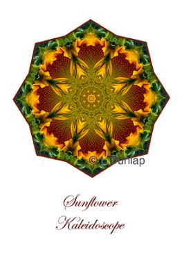 33 - Sunflower Kaleidoscope Card