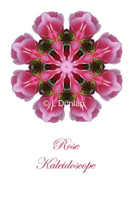 42 - Pink Rose Kaleidoscope Card