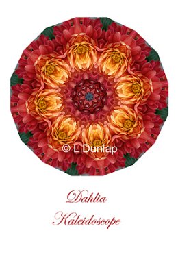 47 - Dahlia Kaleidoscope Card