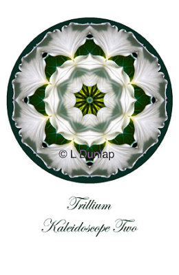 48 - Trillium Kaleidoscope Card