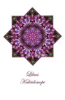 49 - Lilacs Kaleidoscope Card