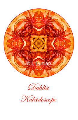 52 - Dahlia Kaleidoscope Card
