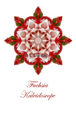 55 - Fuchsia Kaleidoscope Card