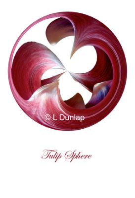 63 - Tulip Sphere Card