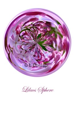 65 - Lilac Sphere Card