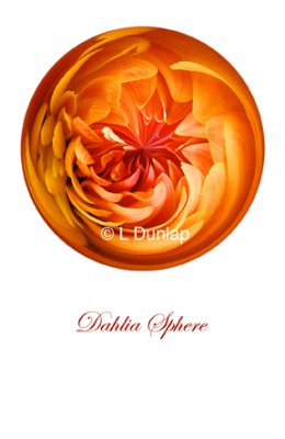 67 - Dahlia Sphere Card