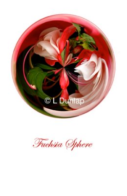 69 - Fuchsia Sphere Card