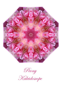 76- Peony Kaleidoscope Card