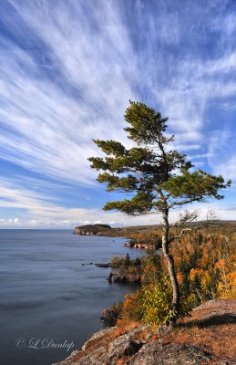 52 - Tettegouche:  (Tree) View From Top Of Shovel Point