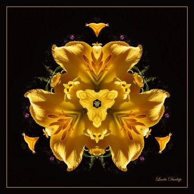 Golden Lily Three-Sided Kaleidoscope