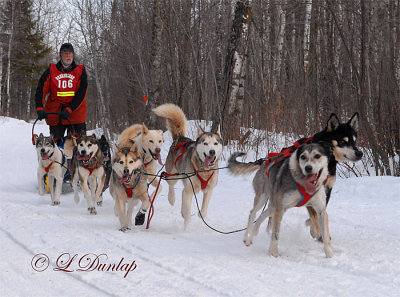 John Beargrease Sled Dog Marathon 2008