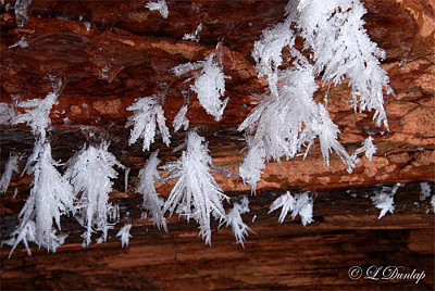 Ice Cave Ceiling 2