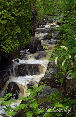 12.3 - Miller Creek: Narrow Gorge Falls