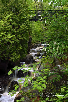 12.4 - Miller Creek:  Narrow Gorge Falls, With Bridge