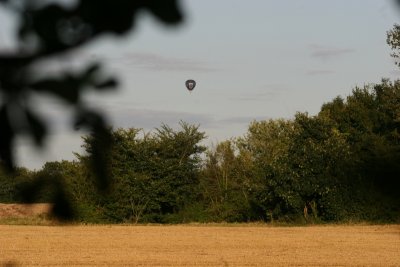 Late August Walk Beyton 029.JPG