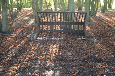 Late August Walk Beyton 032.JPG