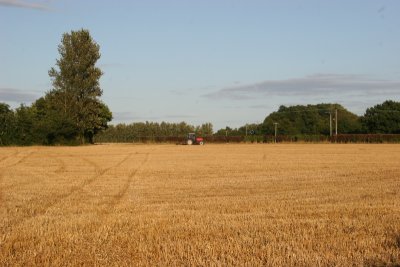 Late August Walk Beyton 036.JPG
