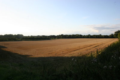 Late August Walk  Beyton 047.JPG