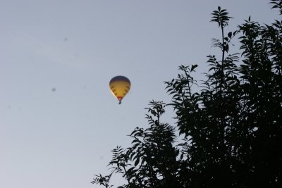 Late August Walk  Beyton 058.JPG