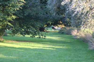 Late August Walk  Beyton 080.JPG