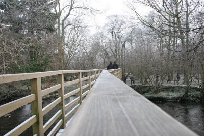 New Year 09 059.jpg