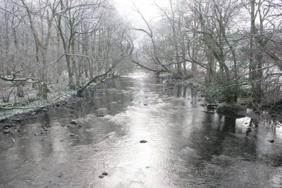 New Year 09 060.jpg