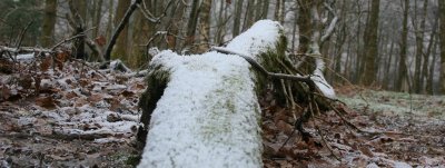 New Year 09 071.jpg
