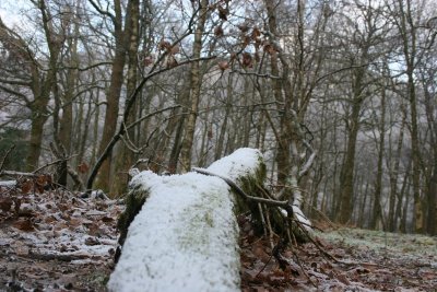 New Year 09 074.jpg
