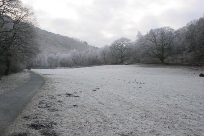 New Year 09 082.jpg