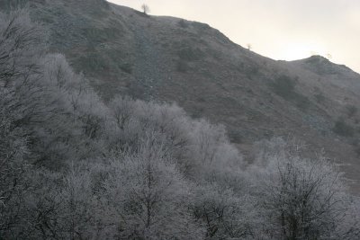 New Year 09 083.jpg