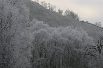 New Year 09 084.jpg