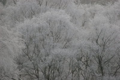 New Year 09 085.jpg