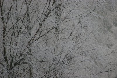 New Year 09 086.jpg