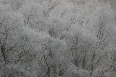 New Year 09 087.jpg