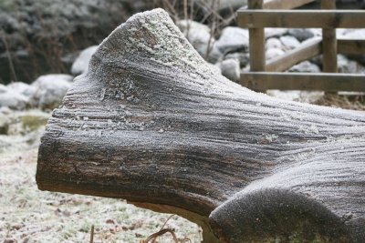 New Year 09 088.jpg