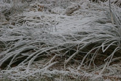 New Year 09 089.jpg