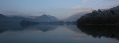New Year 09 125 (1).jpg