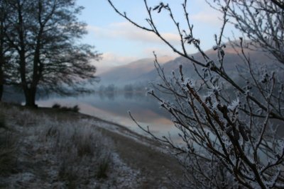 New Year 09 162.jpg