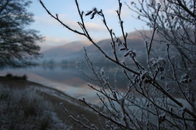 New Year 09 164.jpg