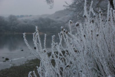 New Year 09 175.jpg