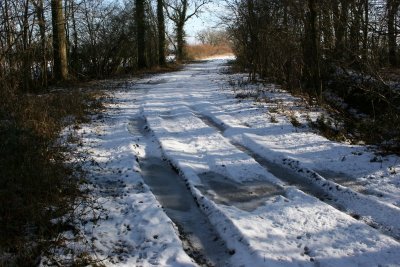 Suffolk Winter Walk