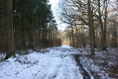 Winter Walk 7th Feb 09 022.JPG