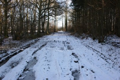 Winter Walk 7th Feb 09 027.JPG