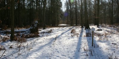 Winter Walk 7th Feb 09 030.JPG