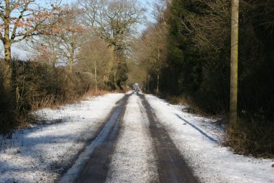 Winter Walk 7th Feb 09 041.JPG