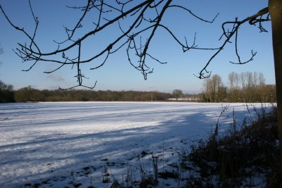 Winter Walk 7th Feb 09 042.JPG