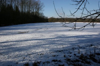 Winter Walk 7th Feb 09 044.JPG