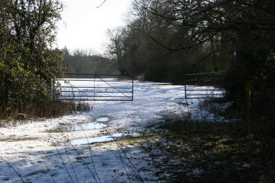 Winter Walk 7th Feb 09 046.JPG